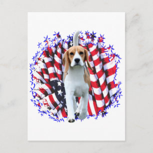 Cartão Postal Beagle Patriota