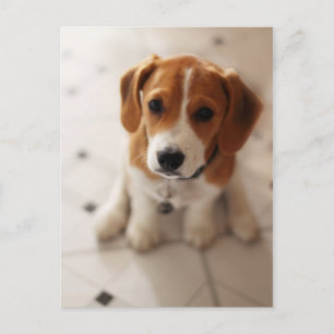 Cartão Postal Beagle Puppy 2