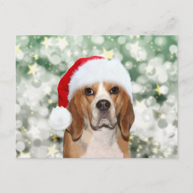 Cartão Postal Beagle vestindo o Natal (Frente)