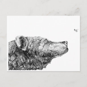 Cartão Postal Bear Necessities by Inkspot