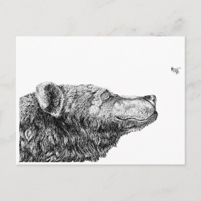 Cartão Postal Bear Necessities by Inkspot (Frente)