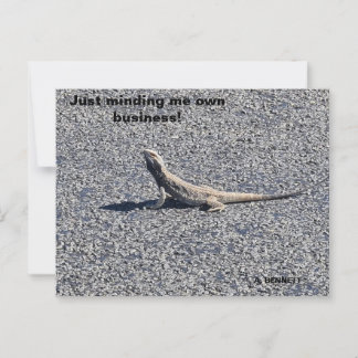 Cartão Postal Beardy, fora da NSW