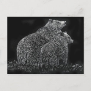 Cartão Postal Bears Animal Scratchboard Black and White Art