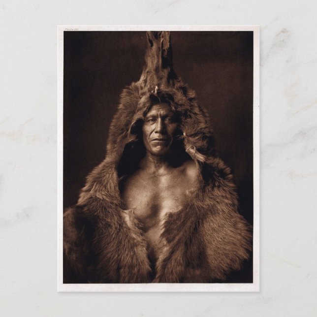 Cartão Postal Bears Belly - Vintage (Frente)