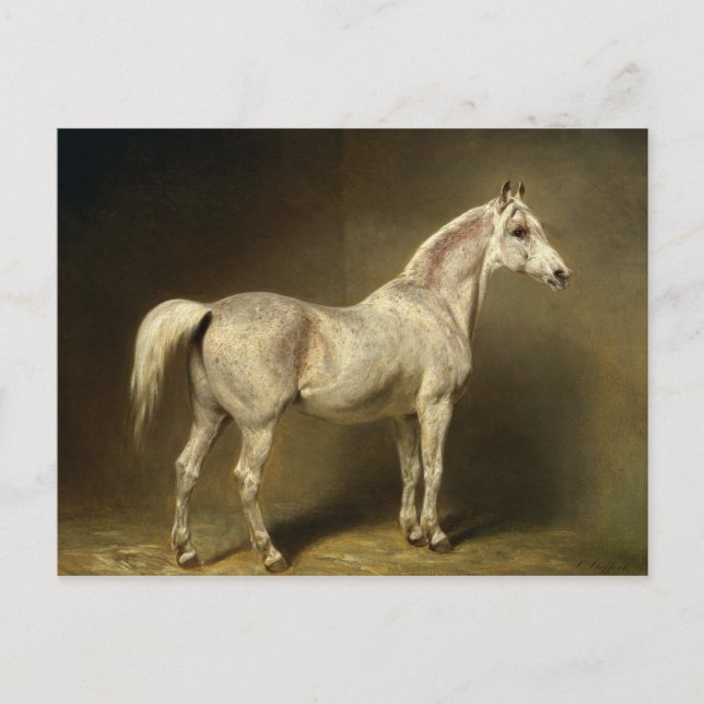 Cartão Postal Beatrice" (Frente)