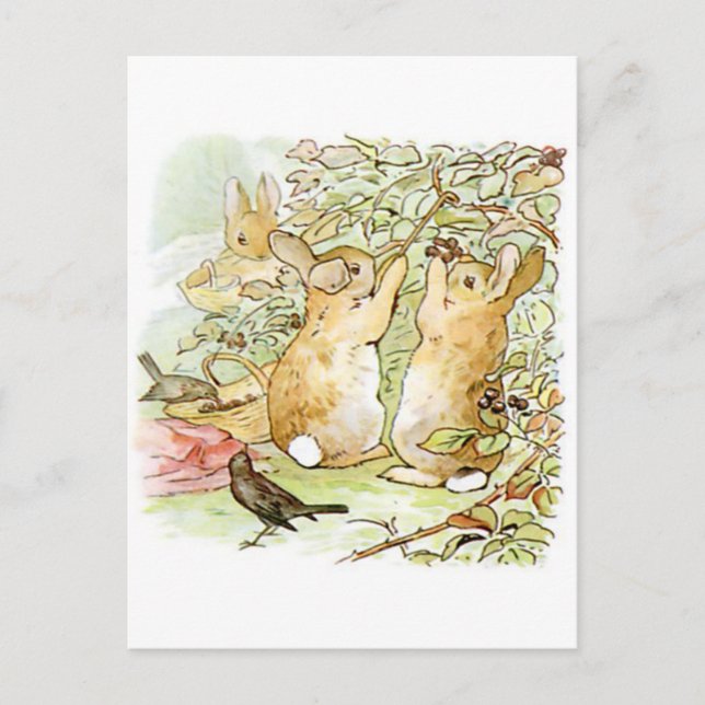 Cartão Postal Beatrix Potter, Bunnies, Raspberry Bush, Aves (Frente)