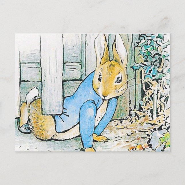 Cartão Postal Beatrix Potter - Ilustração Bunny (Frente)