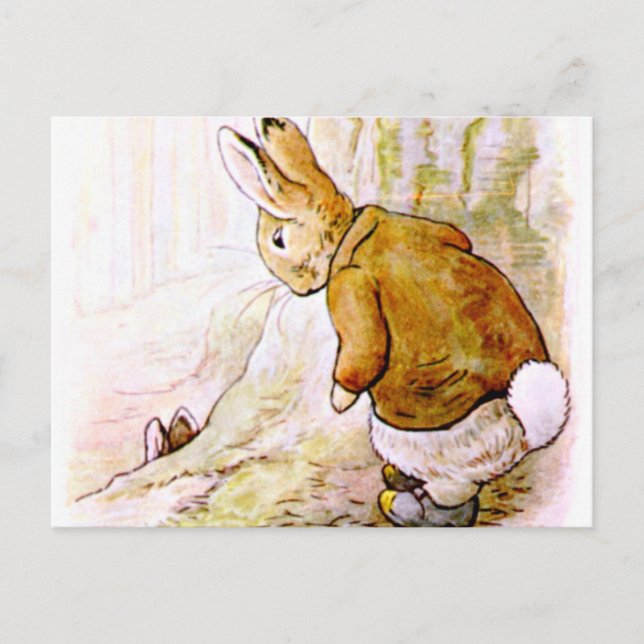 Cartão Postal Beatrix Potter - Ilustração Bunny (Frente)