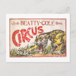 Cartão Postal Beatty Cole Circus - 1903 - angustiado