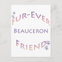 Beauceron Fuere