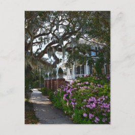 Cartão Postal Beaufort bonito, South Carolina