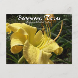 Cartão Postal Beaumont, Texas Botanic Garden Day Lily Viagem