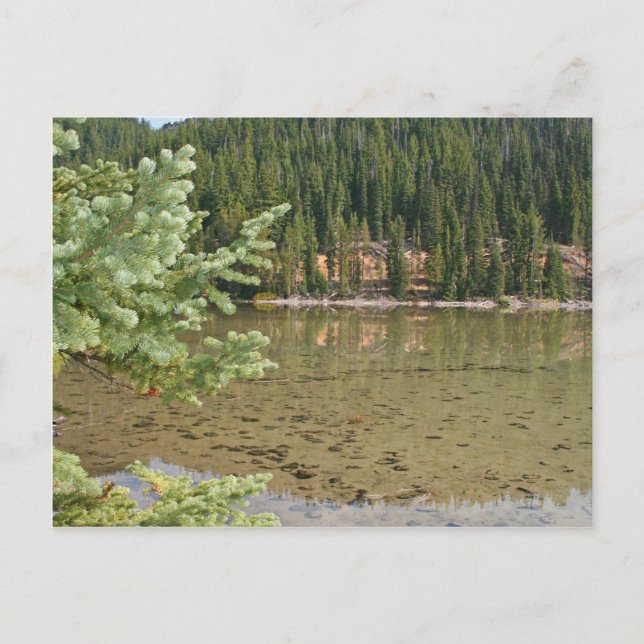 Cartão Postal Beautiful Devils Lake Oregon (Frente)