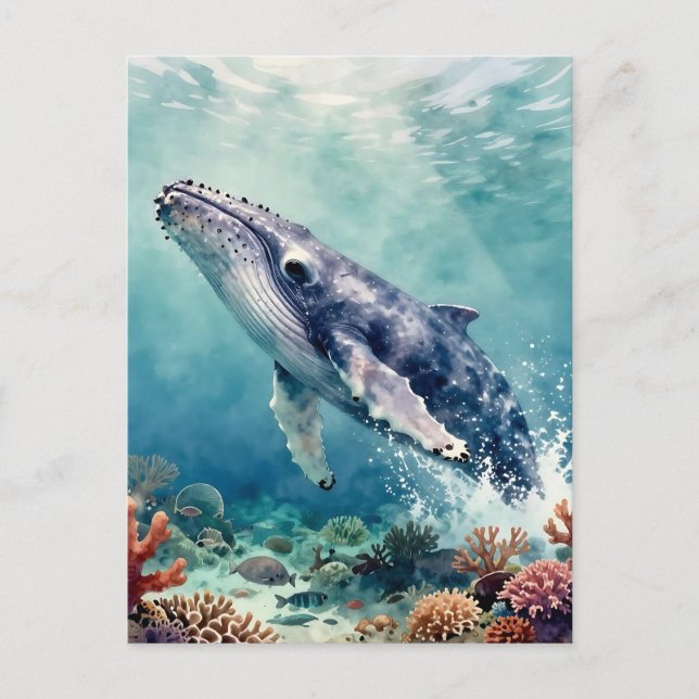 Cartão Postal Beautiful Impasto Whale Oceanic Keep in Touch (Frente)