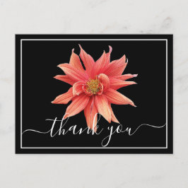 Cartão Postal Beautiful Orange Dahlia Black Back Chic Thank You