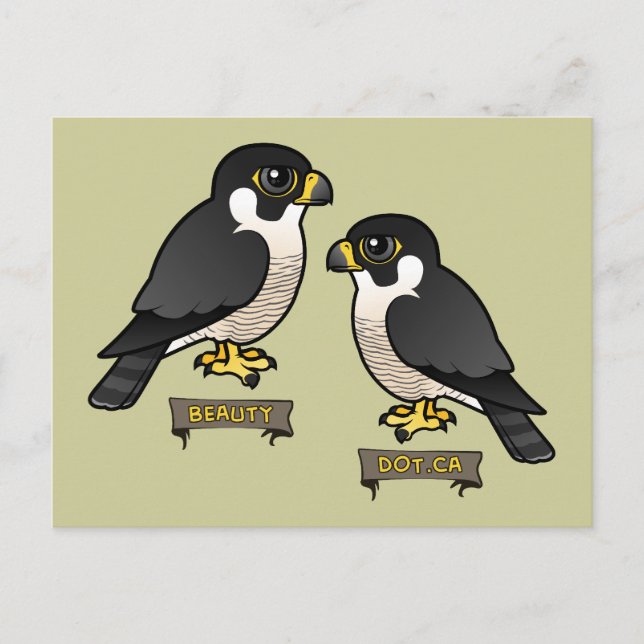 Cartão Postal Beauty & Dot.Ca (Frente)