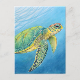 Cartão Postal Beauty of the turtle