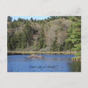 Cartão Postal Beaver Lodge em COLEBROOK, CT