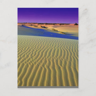 Cartão Postal Bêbado em Monahans Sands