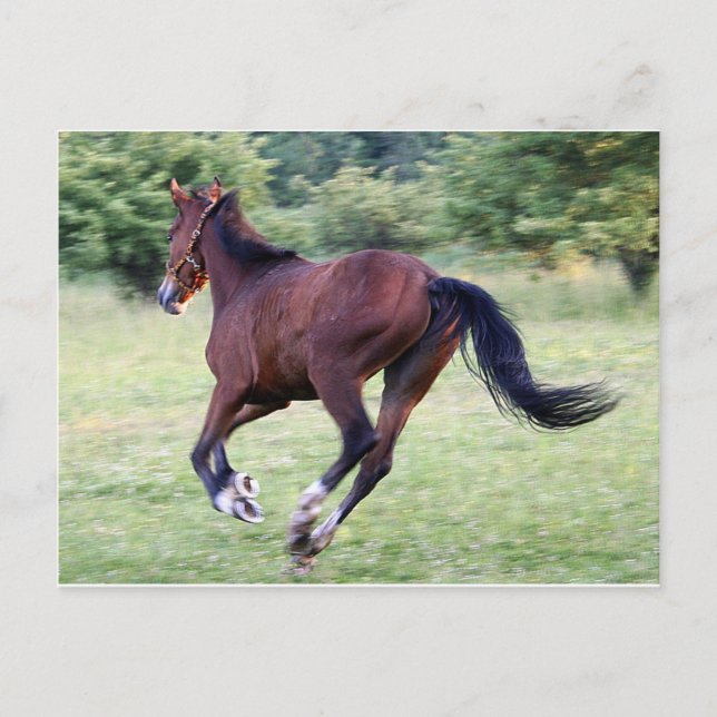 Cartão Postal bebê (Frente)