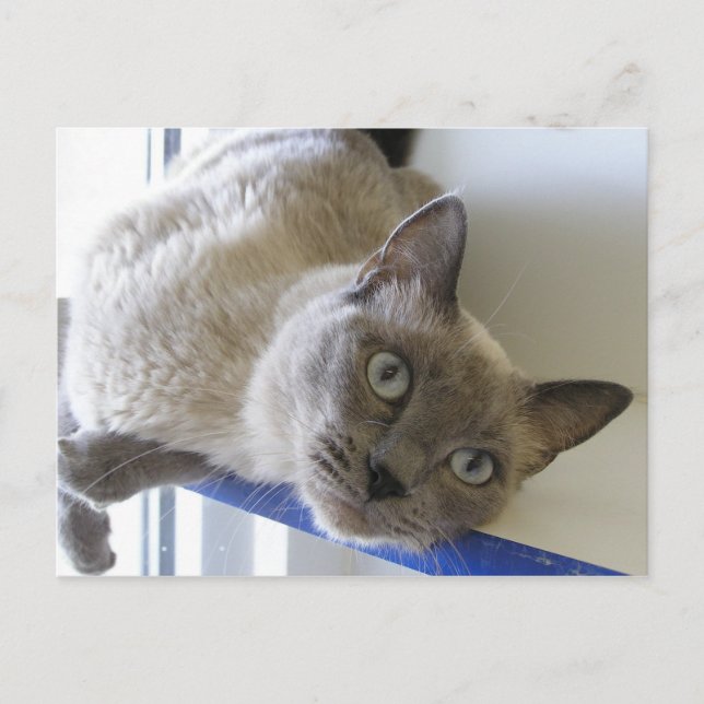 Cartão Postal Bebê (Frente)