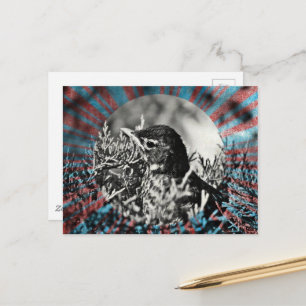 Cartão Postal Bebê adorável Robin