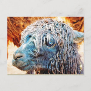 Cartão Postal Bebê Alpaca em azul