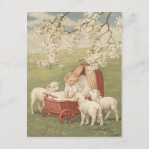 Cartão Postal Bebê Cordeiro Dogwood Árvore Campo