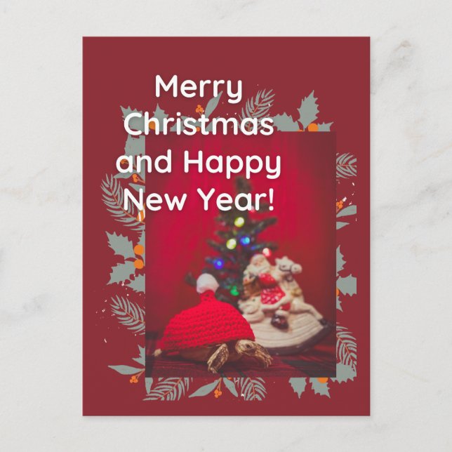 Cartão Postal Bebê de Natal Festivo Sulcata Tortoise de chapéu v (Frente)