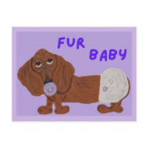 Bebê de Pelo Dachshund Filhote
