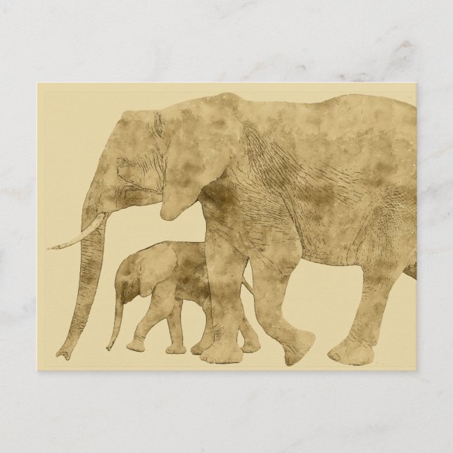 Cartão Postal Bebê Elefante com a Mãe (Frente)