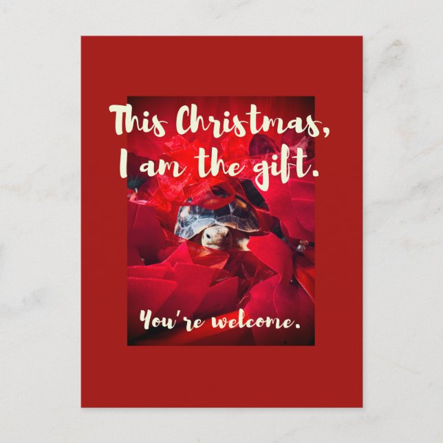 Cartão Postal Bebê Engraçado Engraçado Sulcata Tortoise Presente (Frente)