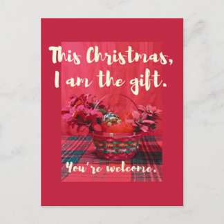 Cartão Postal Bebê-Sulcata Tortoise em poinsettia cesta