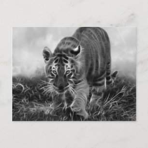 Cartão Postal Bebê Tigre perseguindo em preto e branco