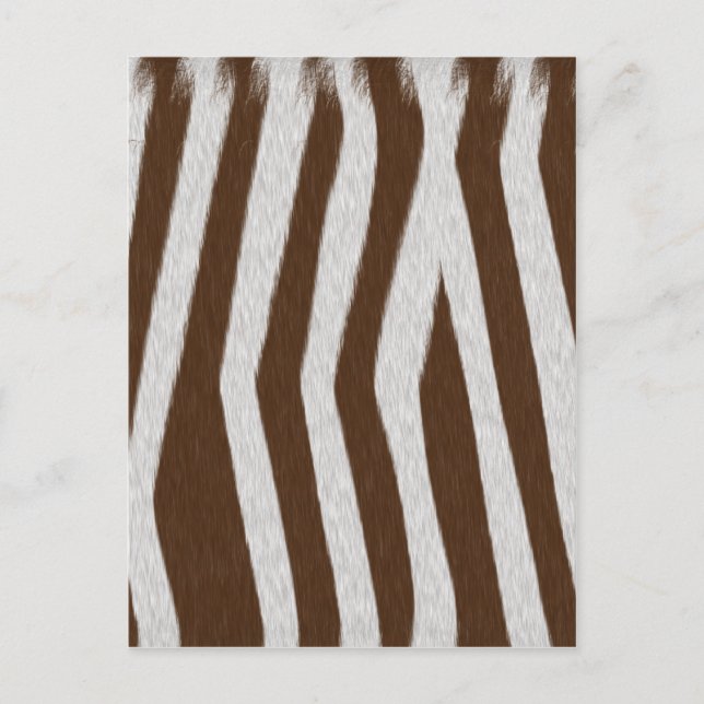 Cartão Postal Bebê Zebra (Frente)