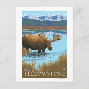 Cartão Postal Bebendo de alce no lago - West Yellowstone, MT