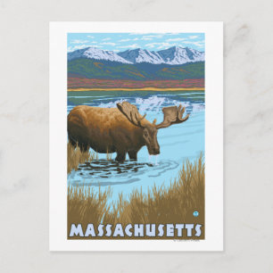 Cartão Postal Bebendo MassachusettsMoose no lago