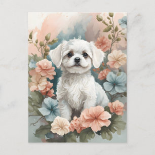 Cartão Postal Bebês-Cons   Preparado branco-cônico maltês