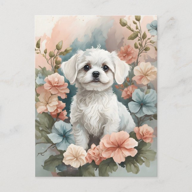 Cartão Postal Bebês-Cons | Preparado branco-cônico maltês (Frente)