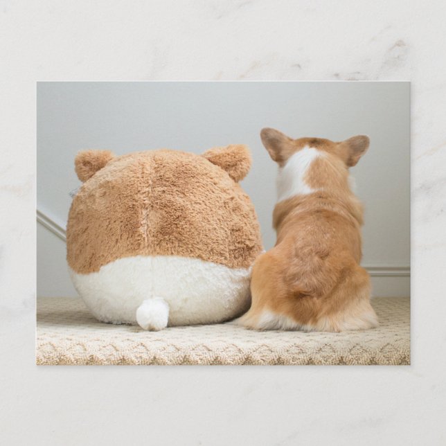 Cartão Postal Bebês Mais Pobres | Corgi & Plush Puppy (Frente)