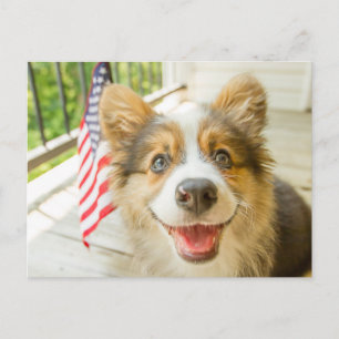 Cartão Postal Bebês Mais Pobres Corgi Puppy Patriótico
