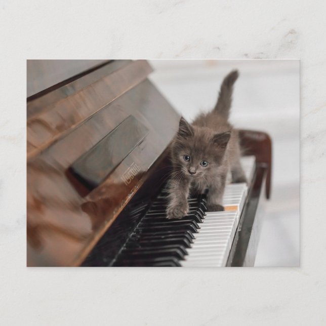 Cartão Postal Bebês Mais Pobres | Kitten on Piano (Frente)