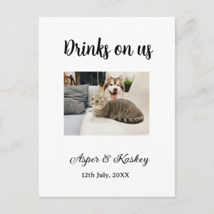 Cartão Postal Bebidas por nossa conta bar aberto foto de animal 
