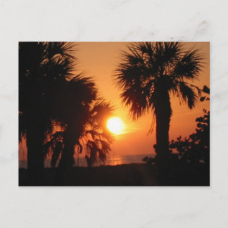 CARTÃO POSTAL BECKYS PALM TREES 4-2-02