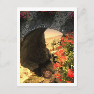 Cartão Postal BECO do Alinhador de PLACA postada