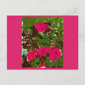 Cartão Postal Bed of Roses 