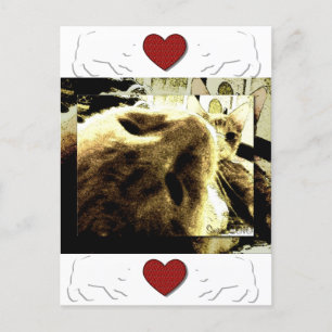 Cartão Postal "Bedfellows" por Suan S'Katra