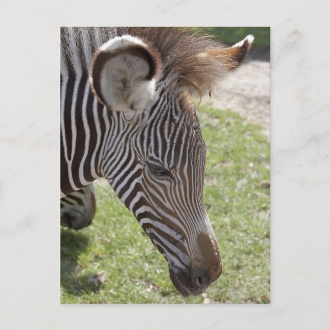 Cartão Postal Bedfordshire, Inglaterra (Frente)