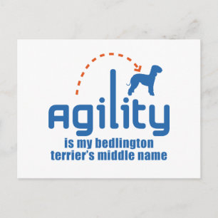 Cartão Postal Bedlington Terrier