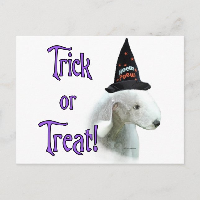 Cartão Postal Bedlington Terrier Trick (Frente)